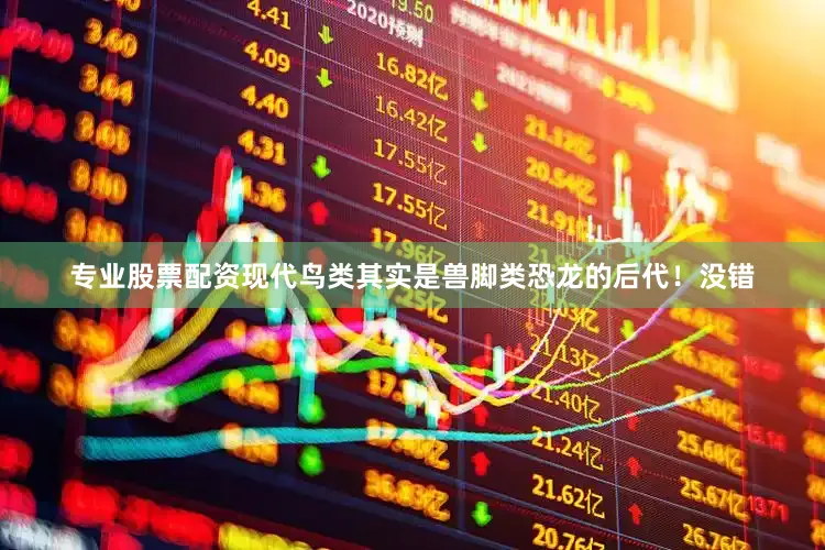专业股票配资现代鸟类其实是兽脚类恐龙的后代！没错