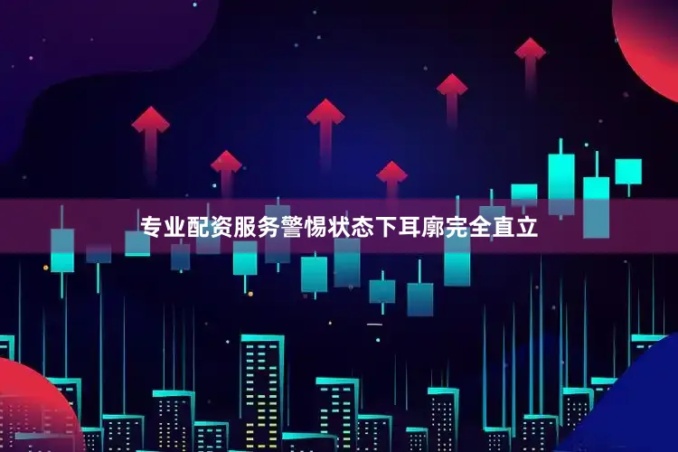 专业配资服务警惕状态下耳廓完全直立