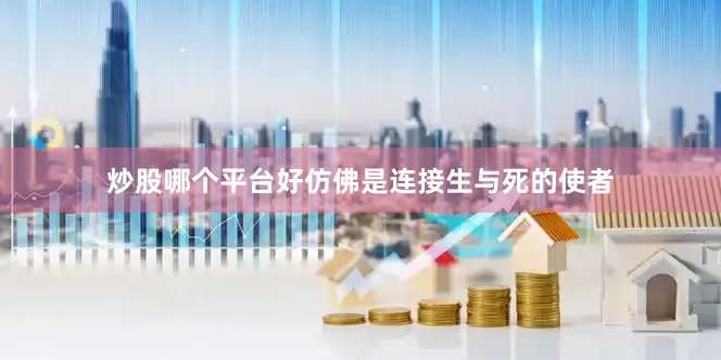 炒股哪个平台好仿佛是连接生与死的使者